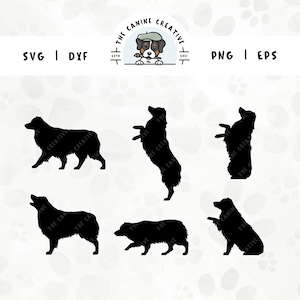 Australian Shepherd SVG Bundle | Dog Breed Silhouettes | Aussie Clipart PNG - Walking, Shaking Paw, Jumping, Begging, Barking, Herding