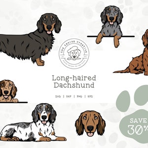 Long-haired Dachshund SVG, Doxie Face EPS, Standing Sausage Dog PNG, Sitting Wiener Dog Art, Peeking Dog dxf, Laying Down Dog Illustration