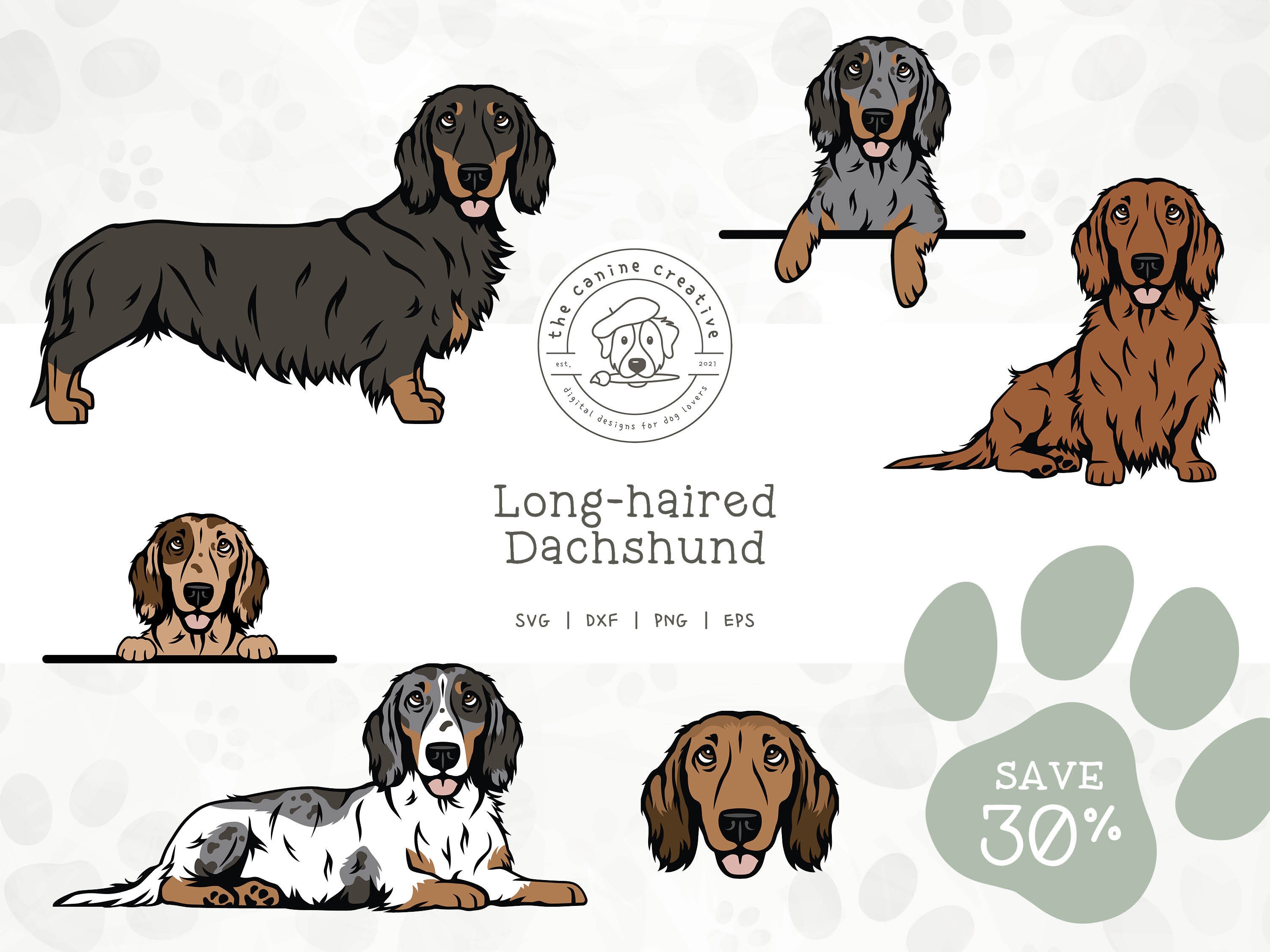 Long-haired Dachshund SVG, Doxie Face EPS, Standing Sausage