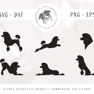 Show Poodle Silhouette SVG Design Bundle - Standard Toy Poodle SVG, Poodle Continental Trim Clip Art, Dog Breed - cut file, dxf, png, eps
