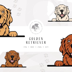 Golden Retriever SVG, Peeking Dog SVG #1, Golden SVG, Pet Portrait Clipart, Printable Dog Art, Goldie png, Dog Illustration, Cricut Cut File