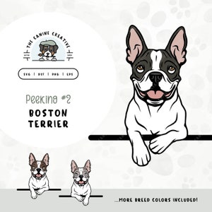 Peeking #2 Boston Terrier SVG Design | Cute Puppy Clipart PNG | Printable Pet Portrait Illustration | DIY Gift for Dog Lover, Mama, or Dad
