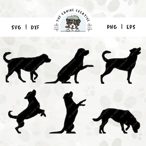 Natural Tail Rottweilers SVG Bundle, Dog Breed Silhouette, Walking Rottweiler PNG, Sniffing Dog Clipart, Jumping Barking Rottie Cut File