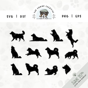 Alaskan Malamute SVG-bundel | Portret zijprofiel hondenras silhouet PNG | DIY-cadeau voor Mally Lover, mama, papa | Arctische sledehond clipart
