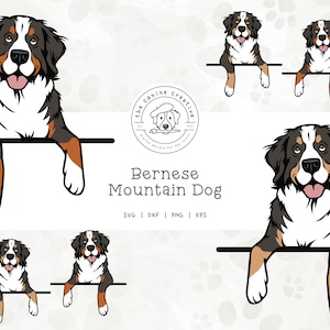 Bernese Mountain Dog SVG Bundle, Berner PNG, Peeking Dog Design #2, Pet Portrait, Printable Dog Clipart, Dog Illustration, Cricut Cut File