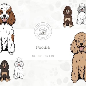Poodles SVG, Sitting Dog svg, Standard Poodle PNG, Toy Poodle Clipart, Printable Dog Art, Dog Illustration, Cricut Cut File, Layered SVG