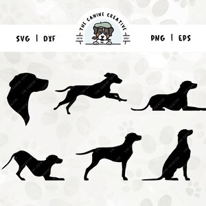 以下が含まれることがあります： 異なるポーズをとった犬の黒いシルエット画像が5つあります。犬は、長い垂れ耳のブラッドハウンドです。犬は、走っているポーズ、座っているポーズ、横になっているポーズ、頭を上げたポーズ、頭を下げたポーズをしています。