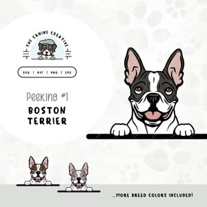 Peeking #1 Boston Terrier SVG Design | Cute Puppy Clipart PNG | Printable Pet Portrait Illustration | DIY Gift for Dog Lover, Mama, or Dad