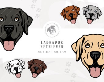 Lab Face SVG, Labrador SVG, Yellow Lab Dog Vector, Black Labrador Art, Silver Lab Design, Chocolate Lab png, Red Fox Labrador Clipart