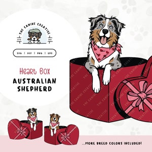 Australian Shepherd SVG | Peeking Dog in Heart Box Clipart | DIY Aussie Mama, Valentines, or Anniversary Gift | Gotcha Day Pet Adoption PNG