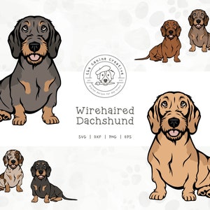 WireHaired Dachshund SVG, Dachshunds Clipart, Sitting Dog Design, Doxie Printable, Sausage Dog PNG, Wiener Dog Art, Sublimation Design
