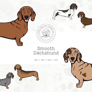 Smooth Dachshund SVG, Standing Dog Design, Dachshunds Clipart, Doxie Printable, Sausage Dog PNG, Wiener Dog Vector Art, Sublimation Design