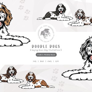 Parti Doodle SVG, Laying Down Dog SVG, Bernedoodle SVG, Sheepadoodle Art, Aussiedoodle png, Goldendoodle Clipart, Labradoodle Illustration