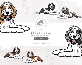 Parti Doodle SVG, Laying Down Dog SVG, Bernedoodle SVG, Sheepadoodle Art, Aussiedoodle png, Goldendoodle Clipart, Labradoodle Illustration