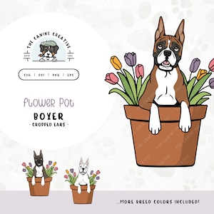 May include: A brown and white Boxer dog with cropped ears sits in a terracotta flower pot with pink, yellow, and purple tulips. The dog is looking at the viewer. The text "THE CANINE CREATIVE" is in a circle around the dog.