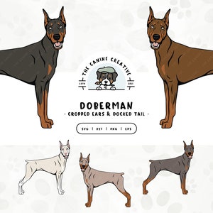 Doberman Art, Standing Dog SVG, Cropped Ears Docked Tail, Dobie Clipart, Dobe Dog Breed PNG, Dog Illustration, Sublimation Design