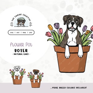 Boxer Dog with Floppy Ears SVG | Cute Peeking Puppy in Flower Pot Clipart | DIY Easter Dog Lover Gift | Spring Tulips Wall Art Printable