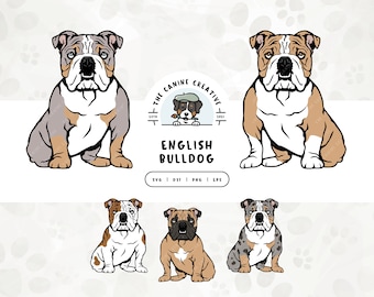 English Bulldog SVG, Bulldog Clipart PNG, Sitting Dog Illustration, British Bulldog Vector, Printable Art, Sublimation Design, Cut File