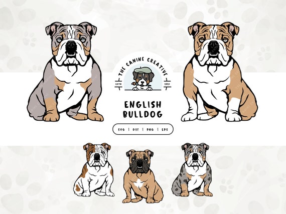 English Bulldog SVG, Bulldog Clipart PNG, Sitting Dog Illustration, British Bulldog Vector, Printable Art, Sublimation Design, Cut File