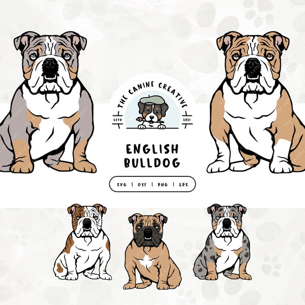 English Bulldog SVG, Bulldog Clipart PNG, Sitting Dog Illustration, British Bulldog Vector, Printable Art, Sublimation Design, Cut File