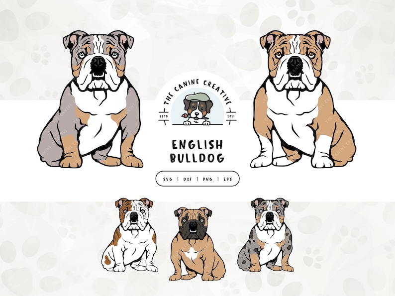 Sitting English Bulldog design. File formats include SVG, DXF, PNG, and EPS.