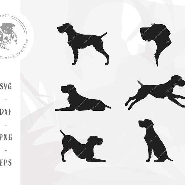 Puntatore a pelo duro tedesco SVG, GWP Clipart, sagoma di cane razza PNG, cane da caccia in formato SVG, arte stampabile del cane, file di taglio Cricut per capelli in filo tedesco