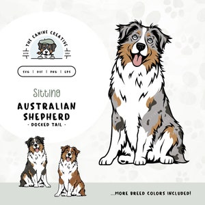 May include: A digital illustration of an Australian Shepherd dog sitting with its tail docked. The dog is white with brown and blue markings. The image is part of a set of illustrations of Australian Shepherds in different colors.