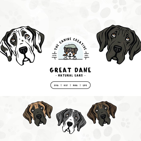 Great Dane SVG Natural Floppy Ears, Hand Drawn Dogs PNG, Cartoon Dog Face, Great Dane Head, Dog Printable Clipart, Sublimation Design