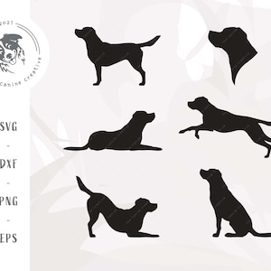 Labrador SVG, Labrador Retriever Silhouette Clipart Bundle, Dog Breed Silhouette PNG, Lab Dog SVG for Cricut, Labrador Vector, Dog Cut File