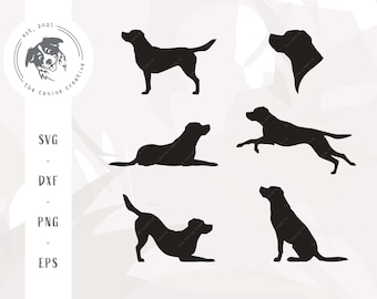 Labrador SVG, Labrador Retriever Silhouette Clipart Bundle, Hunderasse Silhouette PNG, Lab Dog SVG für Cricut, Labrador Vektor, Dog Cut File