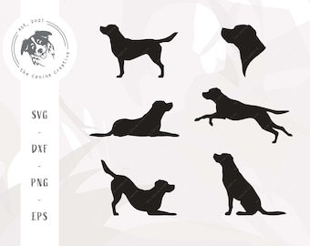 Labrador SVG, Labrador Retriever silhouet clipart bundel, hondenras silhouet PNG, Lab hond SVG voor Cricut, Labrador vector, hond gesneden bestand