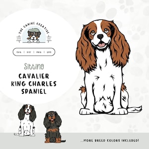 May include: Illustration of a Cavalier King Charles Spaniel sitting. The dog is white with brown ears and a brown patch on its head. The dog is looking at the viewer. The image includes the text "Sitting Cavalier King Charles Spaniel" and "...MORE BREED COLORS INCLUDED!"