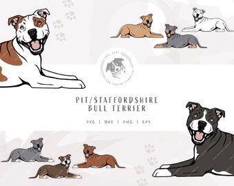 May include: A digital illustration of ten different Pit Bull Terrier dogs in various poses. The dogs are all white, brown, and black with different markings. The image includes the text "PIT/STAFFORDSHIRE BULL TERRIER" and "SVG | DXF | PNG | EPS".