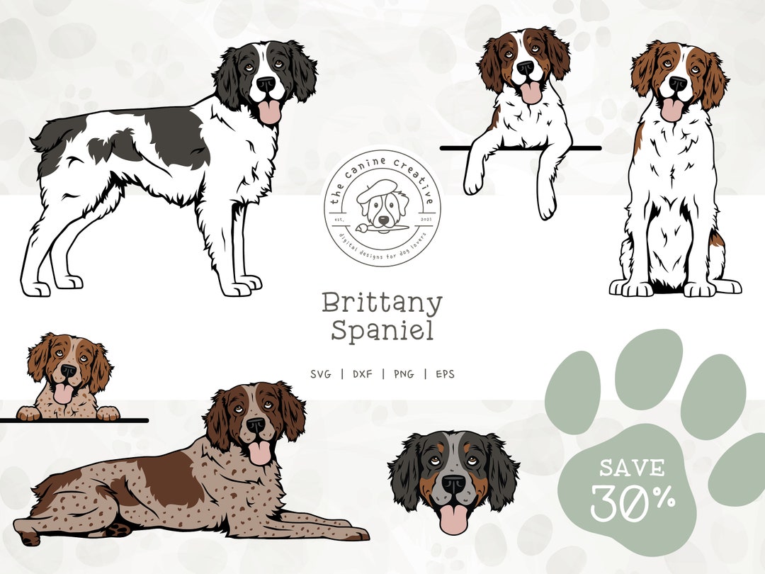 Brittany Dog SVG Bundle, Brittany Spaniel Clipart, Dog Face SVG, Dog ...