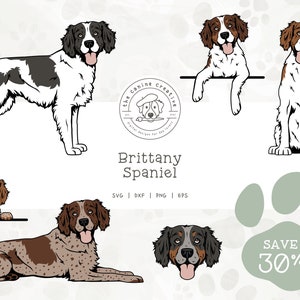 Brittany Dog SVG Bundle, Brittany Spaniel Clipart, Dog Face SVG, Dog Sitting Art, Standing Dog Design, Peeking Dog png, Laying Down dog dxf