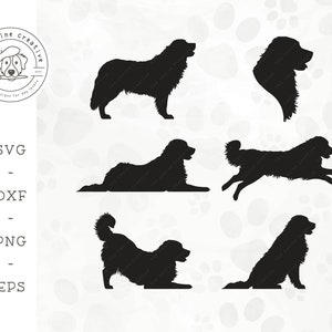 Bernese Mountain Dog SVG, Berner Running Silhouette, Dog Face Clipart, Dog Sitting PNG, Standing Dog Vector, Dog Laying Down, Playful Dog