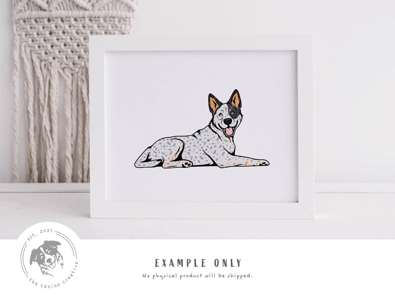 May include: A digital illustration of a blue heeler dog lying down with its tongue sticking out. The dog is white with blue and brown markings. The illustration is in a white frame.