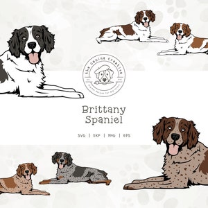 Brittany Dog SVG, Brittany Spaniel Clipart, Laying Down Dog PNG, Printable Dog Art, Hunting Dog Illustration, Cricut Cut File, Layered SVG