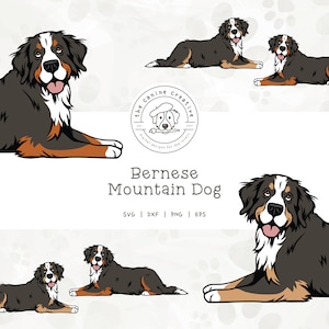 Bernese Mountain Dog SVG Bundle, Berner PNG, Dog Laying Down Design, Pet Portrait, Printable Dog Clipart, Dog Illustration, Cricut Cut File