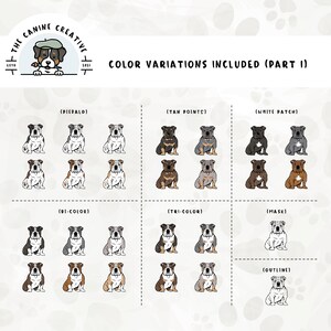 Part 1 of color variations included in this bundle include: piebald, tan points, solid with white patch, bi-color, tri-color, solid white, and outline.