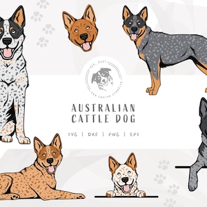 Heeler SVG Bundle, Australian Cattle Dog Clip Art, Dog Face PNG, Sitting Dog Art, Standing Dog Design, Peeking Dog png, Dog Laying Down dxf