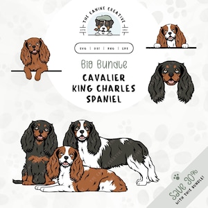 Cavalier King Charles Spaniel SVG Bundle | Cavaliers PNG Clipart | Printable Pet Illustration | DIY Gift for Dog Lover, Mama, or Dad
