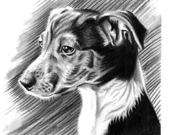 custom dog portrait, custom pet portrait, charcoal dog from photo to drawing, gift for pet, personalized dog painting, charcoal sketch