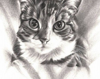 Custom Cat Portrait: Handmade Charcoal Pet Drawing, Pet Loss Gift