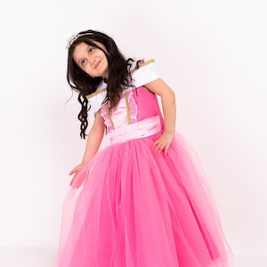 Sleeping Beauty Girl Dress, Princes Aurora Inspired Costume, Birthday Dress, Halloween Costume, Disneyworld Toddler Dress, Photoshoot Dress