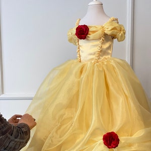 Belle Inspired  Girl Costume, Princess Costume for Toddler,  Belle Photoshoot  Dress,  Birthday Girl  Costume, Girl Halloween  Outfit