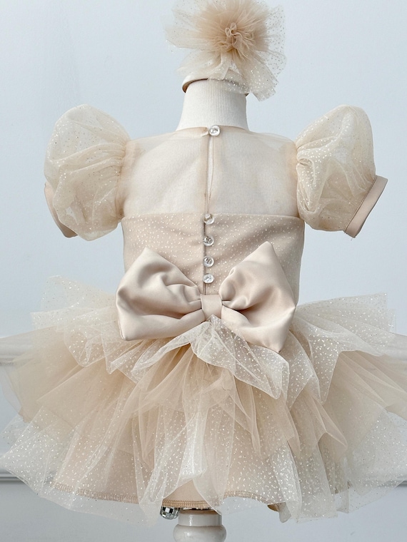 beige birthday dress Cute Pink Kids Party Dresses for Birthday Long Sleeves -