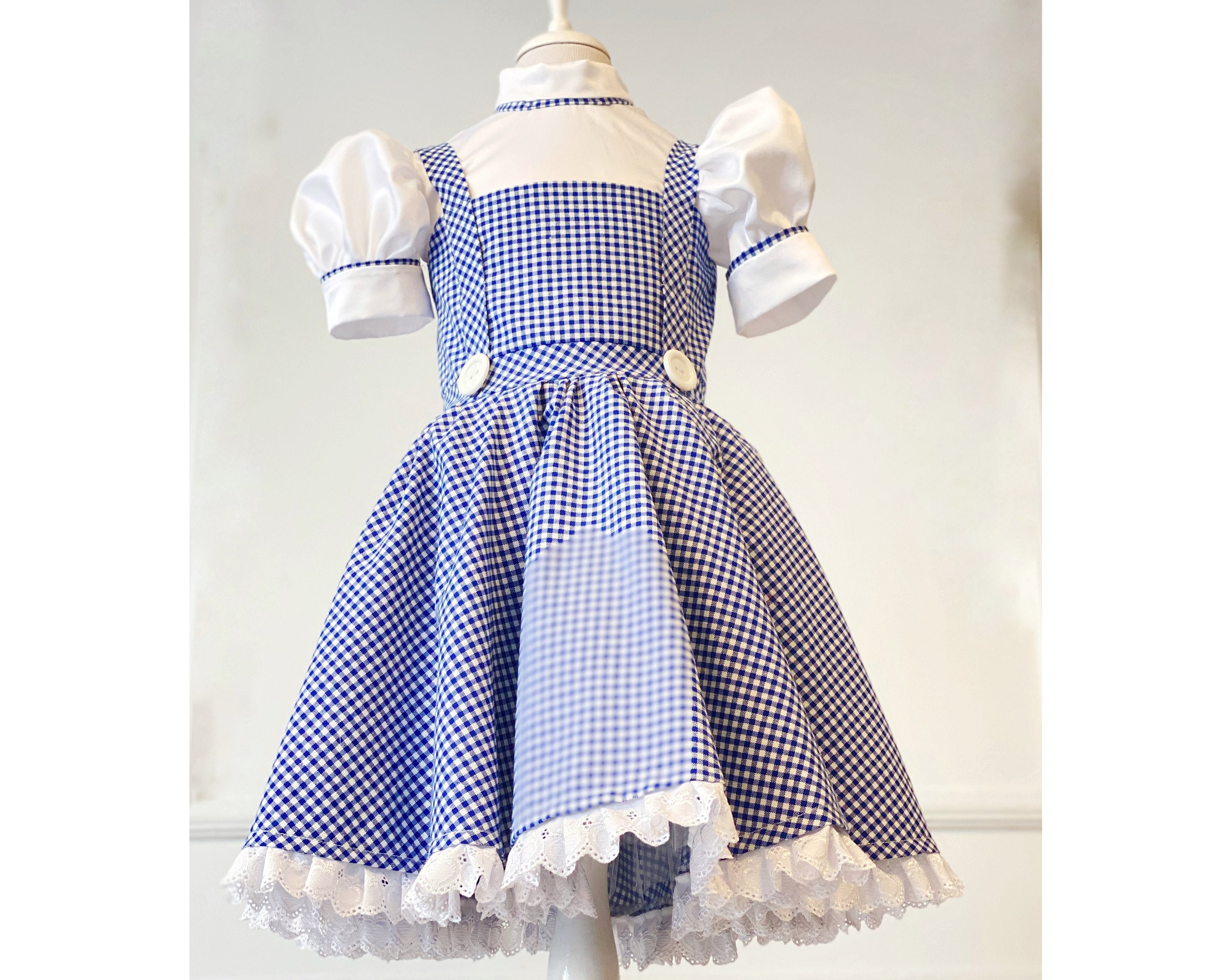 sachin and babi light blue dress Wizard of Oz Hoco Dress