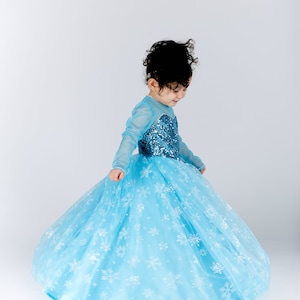 Elsa Inspired Costume,  Frozen Isnpired Costume, Birhday Girl Costume, Halloween Kids Costume, Toddler Costume, Infant Birthday Outfit, Gown