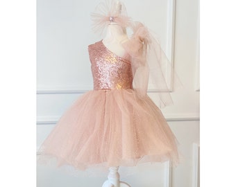 Dusty Pink Rose Flower Girls Wedding Dress, Sparkle Tulle Dress For Girls, Birthday Toddler  Girl Dress, Puffy Photoshoot Gown